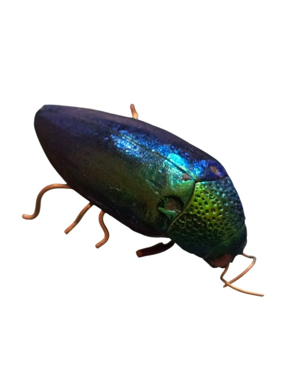 Antique Beetle Pin (A10101)